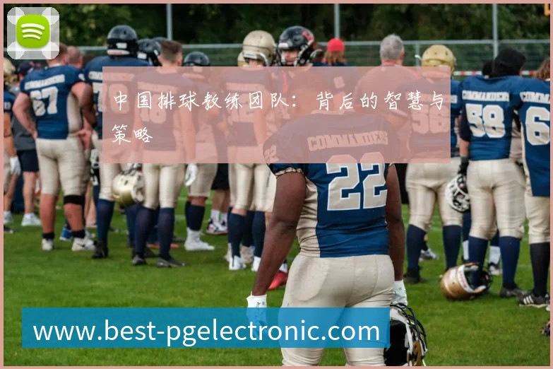 中国排球教练团队：背后的智慧与策略