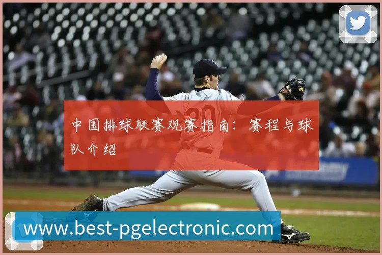 中国排球联赛观赛指南：赛程与球队介绍
